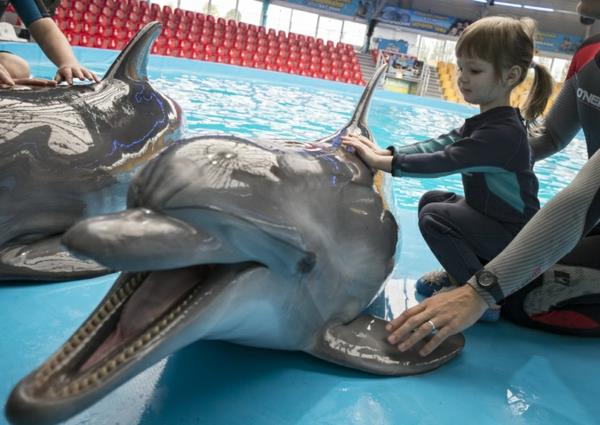 θεραπεία ζώων ως θεραπεία δελφινιών