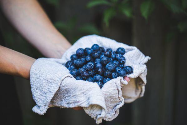 υπέροχες νόστιμες ιδέες φρούτων δίαιτα sirtfood