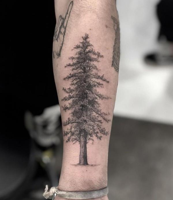 υπέροχες ιδέες τατουάζ δέντρων