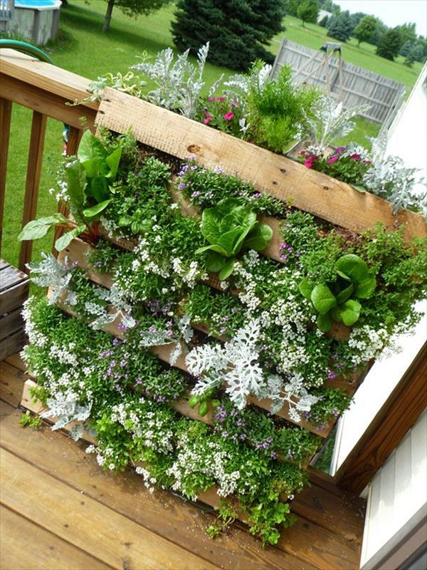 κάθετος κήπος diy παλέτες ευρώ σχεδιασμός κήπου