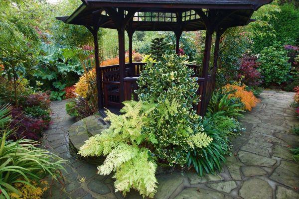 υπέροχο σπίτι στον σχεδιασμό του κήπου - δημιουργήστε έναν φυσικό κήπο