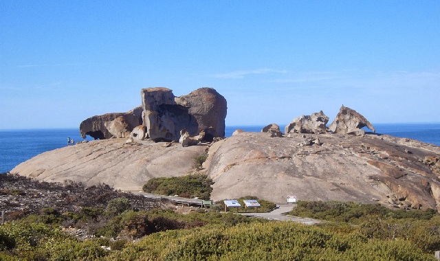 kengūrų sala_australija-turistinės vietos