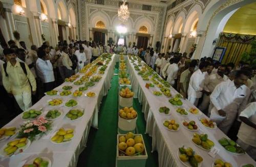 Tarptautinis mango festivalis liepos mėn