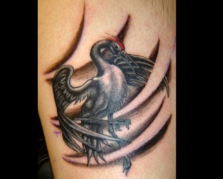 kuş dövme tasarımları