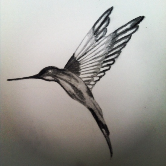 Juodo rašalo kolibrio tatuiruotės dizainas
