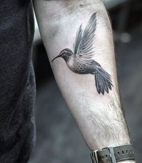 Kolibrio tatuiruotės dizainas 2