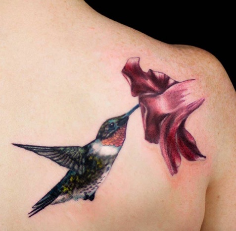 Kolibrio tatuiruotės maitinimas ant nugaros