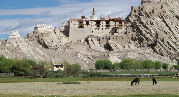 shey-palace_ladakh-turist-yerler