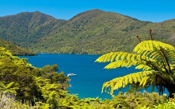 marlborough_new-zealand-tourist-places