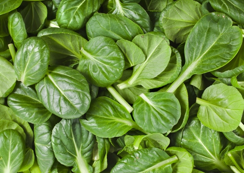 Labiausiai maistingi maisto produktai pasaulyje 11