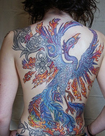 Povas Phoenix tatuiruotės dizainas