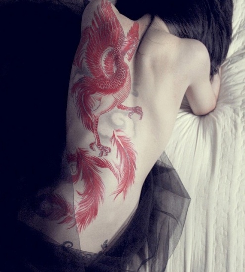 Raudonas liesas Phoenix tatuiruotės dizainas