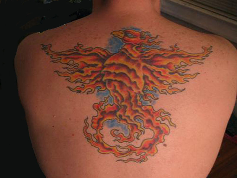 „Phoenix“ tatuiruotės dizainas su reikšmėmis