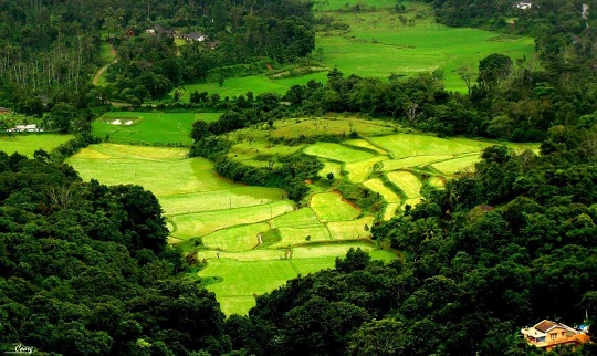 coorg