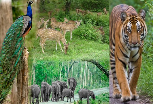 Turistų lankomos vietos Karnatakoje