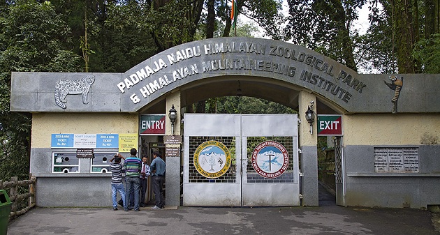 himalajų kalnų alpinizmas-zoo_darjeeling-turistinės vietos