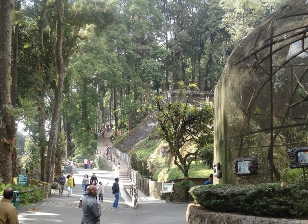 padmaja-naidu-himalayan-zoolojik-park_darjeeling-turist-yerler