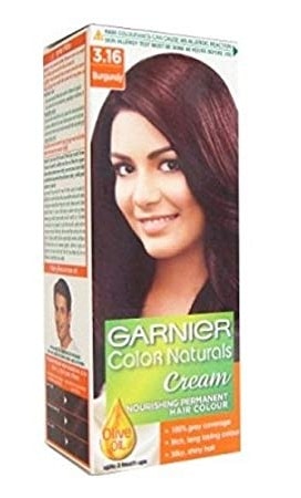 Garnier Saç Renkleri Bordo