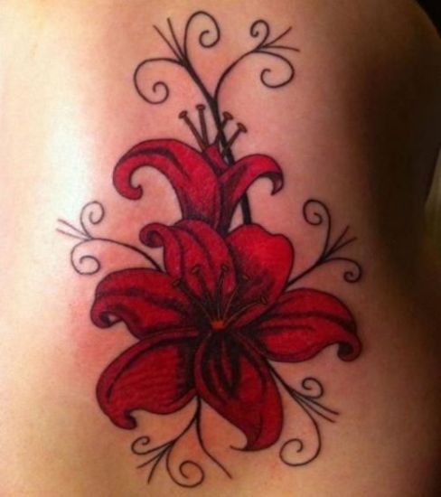 Gražus raudonos lelijos tatuiruotės dizainas