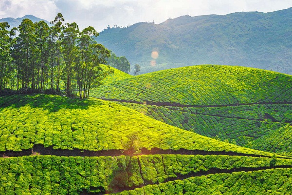 Coonoor