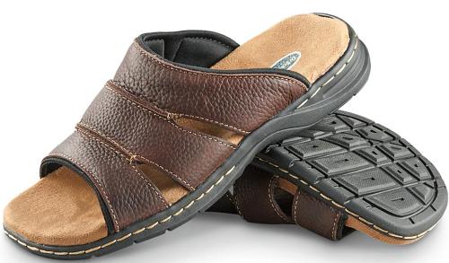 Daktaras Scholl