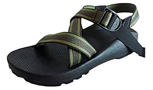 JAV Polo Assn