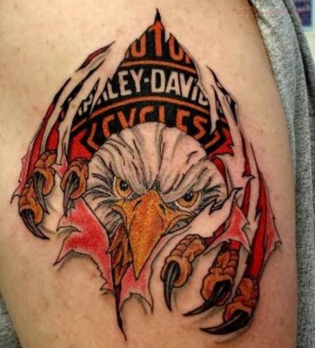 Harley Davidson tatuiruotė 8