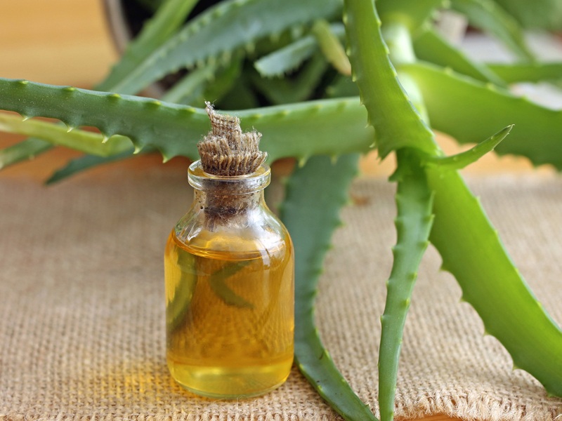 Aloe Vera Saç Yağları