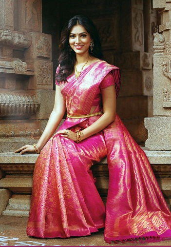 Pattu sarees için özel tasarım bluz (düzenlendi)3