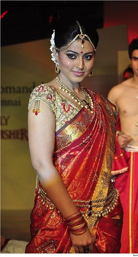 Pattu sarees için özel tasarım bluz (düzenlendi)4