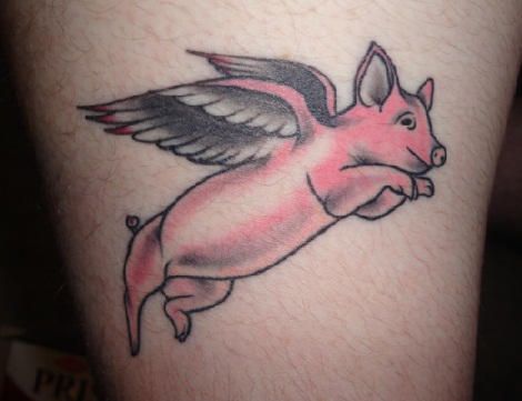 Veiksmas musės kiaulės tatuiruotėje