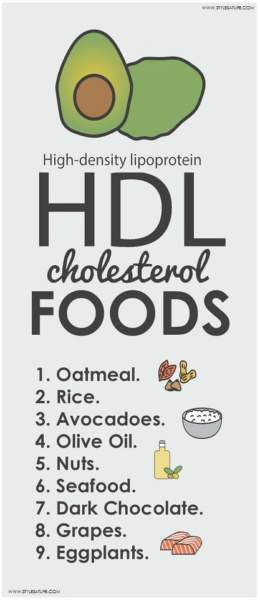 HDL Kolesterollü Gıdalar