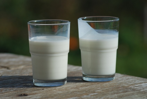 Ayran sağlıklı Hint yemekleri