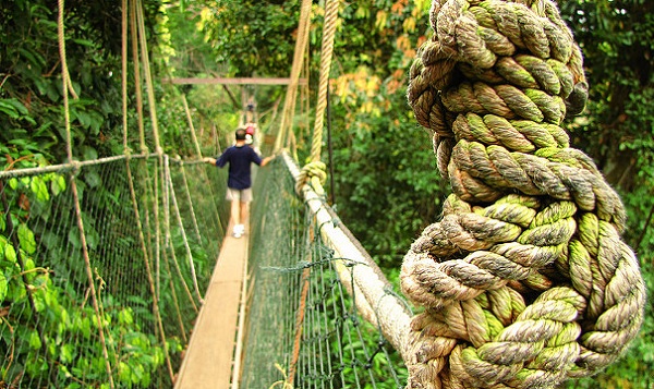 medaus mėnesio vietos Malaizijoje_taman-negara