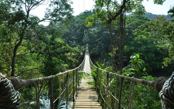 coorg-karnataka balayı-bütçedeki yerler