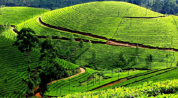 ooty-tamil-nadu medaus mėnesio vietos biudžete