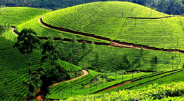 ooty-tamil-nadu balayı-bütçedeki yerler