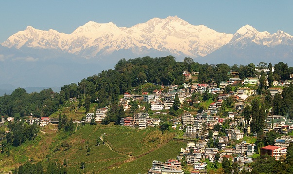 darjeeling-west-bengal medaus mėnesio vietos biudžete