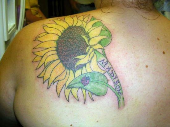 Lady Bug Tattoo Tasarımlı Ayçiçeği