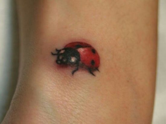 Mažas 3D „Lady Bug“ tatuiruotės dizainas