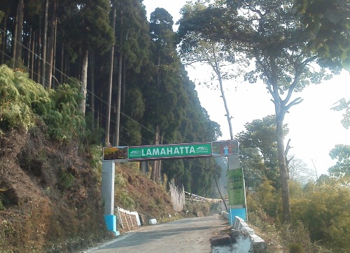 darjeeling'de balayı yerleri