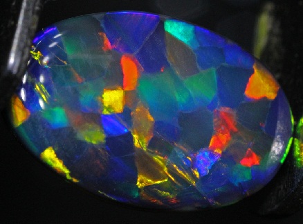 Harlequin brangakmenio opalas
