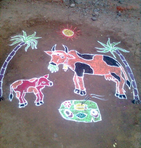 Pongal Kolam Rangoli Tasarım