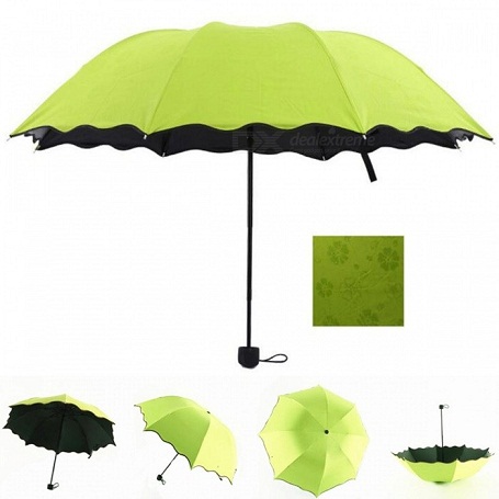 Visada žalias skėtis