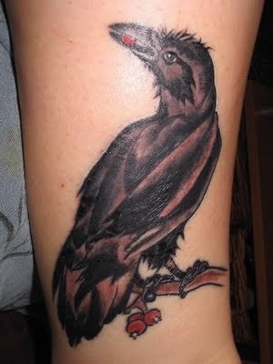 „Crow On Tree Raven“ tatuiruotės dizainas