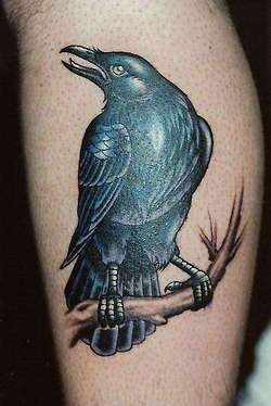 „Crow On Branch Raven“ tatuiruotės dizainas