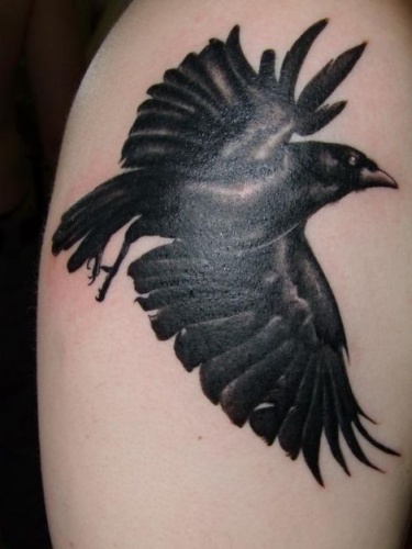 „Raven“ tatuiruotės dizainas ant peties