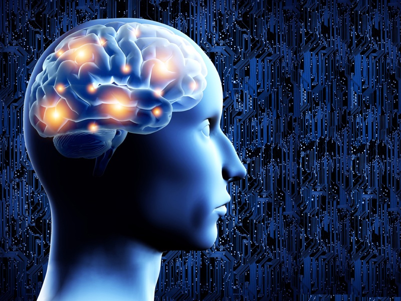 Beyin Gücünü Artıran Baharatlar ve Otlar