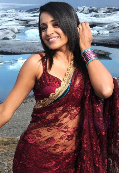 net sari trisha