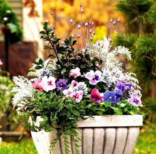 Ιδέες Χειμερινής Γλάστρας xcLkv Φρέσκο ​​Χειμερινό Λουλούδι Γλάστρες Δοχείο Κηπουρική Καλλιέργεια Λουλουδιών